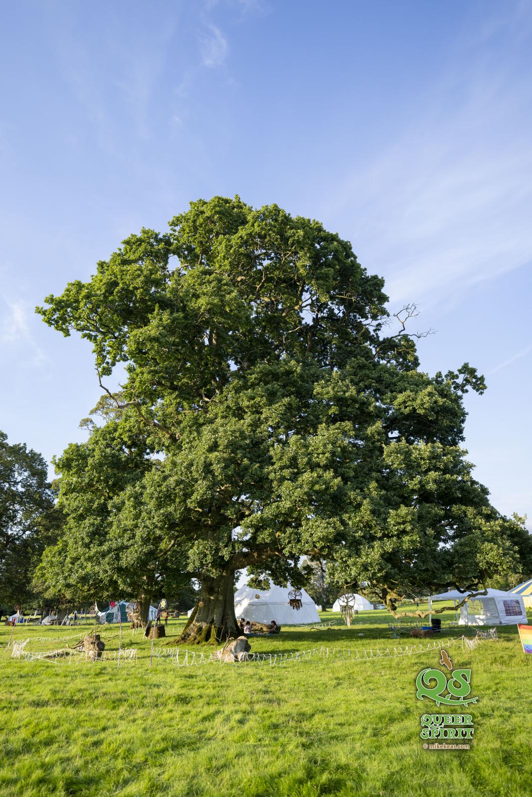 QS Festival 2023