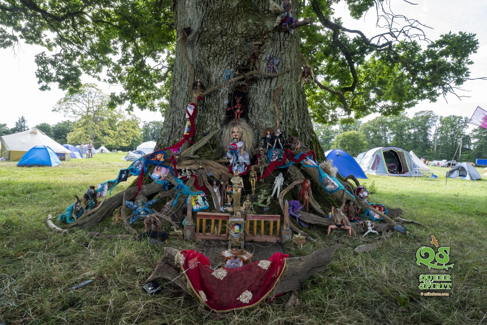 QS Festival 2024